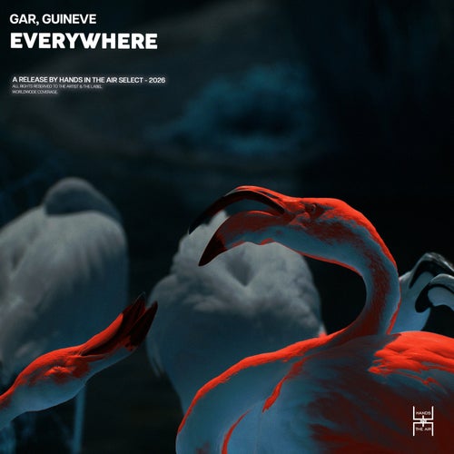 Everywhere