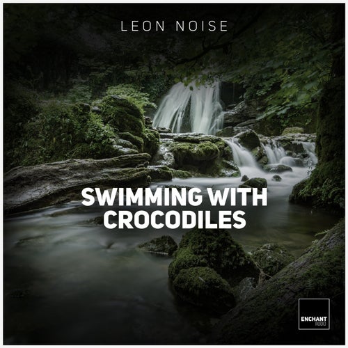 Swimming with Crocodiles