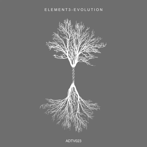 Cover art for Evolution