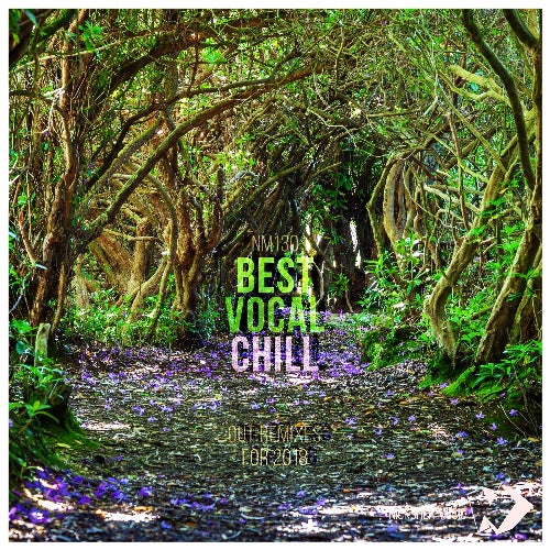 Best Vocal Chill out Remixes for 2018