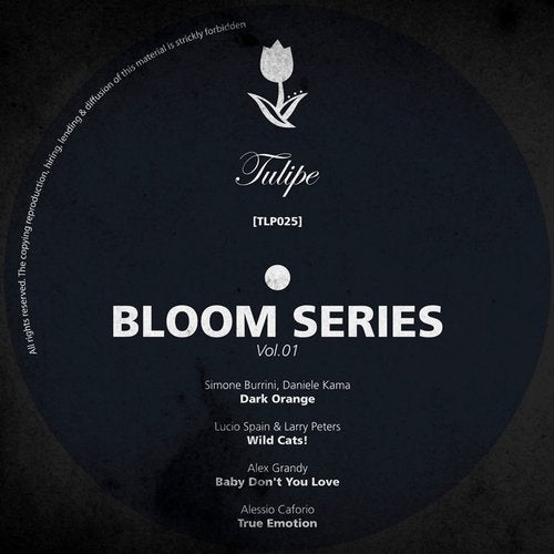 Bloom Series Vol.1