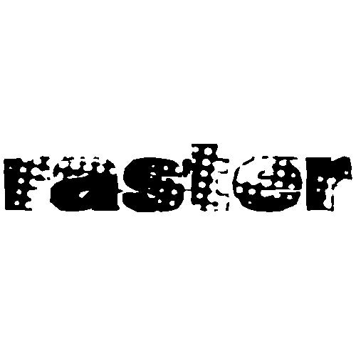 Fundacja Raster