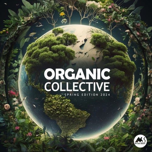 VA - Organic Collective - M-Sol DEEP Spring Edition 2024 MSD305