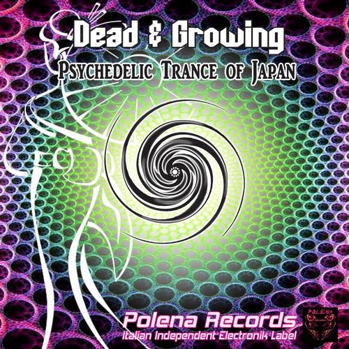 Psychedelic Trance Of Japan