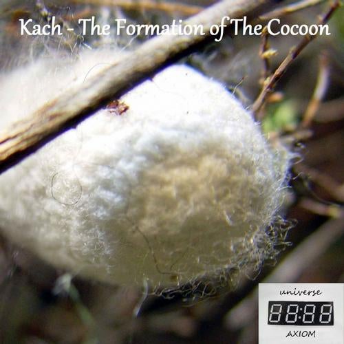 The Formation of The Cocoon