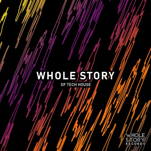 Whole Story Of Tech House