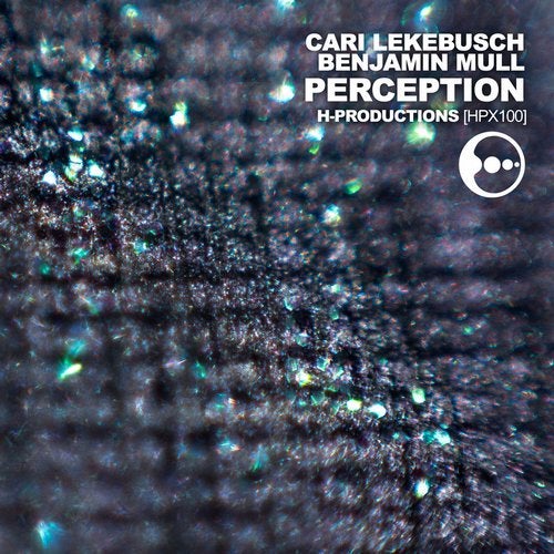 Cover art for Perception