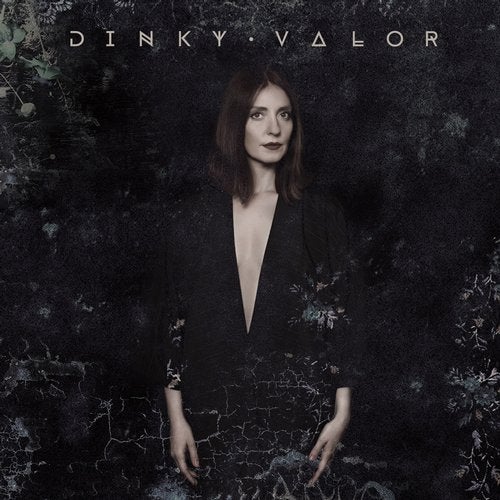 Cover art for Valor