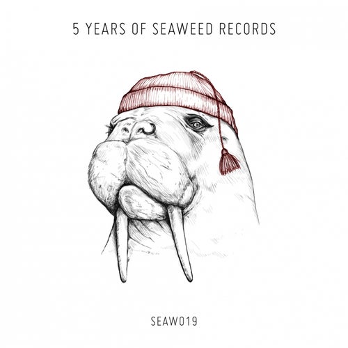 Cover art for 5 years of Seaweed Records