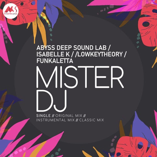 Mister DJ