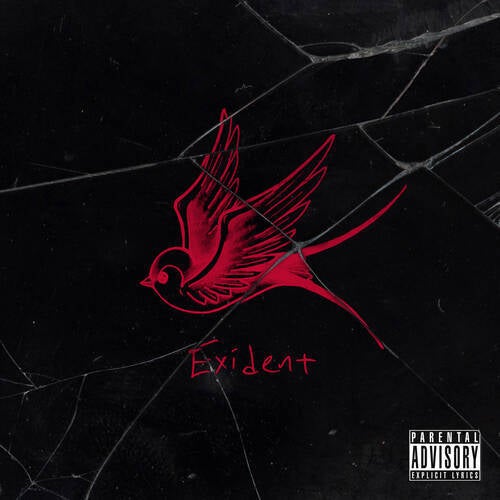 Exident