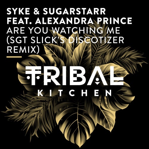 Are You Watching Me (Sgt Slick's Discotizer Remix)