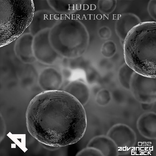Steve Sai / HUDD ● SUMMER 2021
