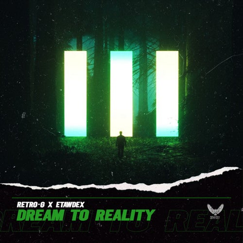 Dream To Reality