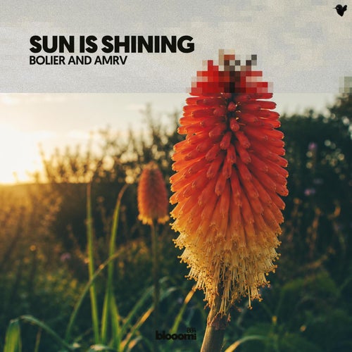Sun is Shining