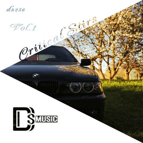 VA - Critical Stirs, Vol. 1 [Different Styles Music]