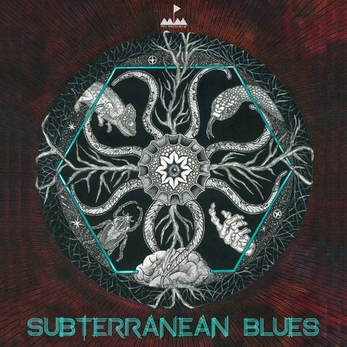 Cover art for Subterranean Blues