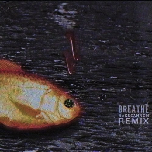 Basscannon - Breathe album artwork