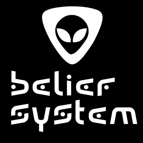 Belief System Records