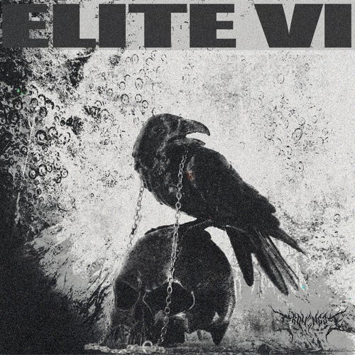 CROWSNEST ELITE VI