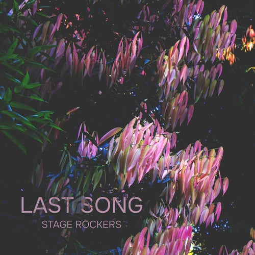 Last Song