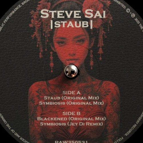 Steve Sai HUDD Charts Spring 2025 (II) Steve Sai HUDD Charts Spring 2025 (II)
