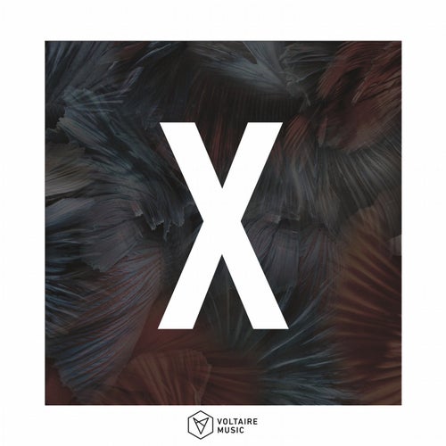 Voltaire Music pres. X