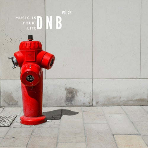 Music Is Your Life Dnb, Vol. 28