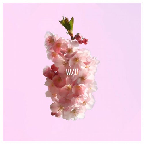 w/u