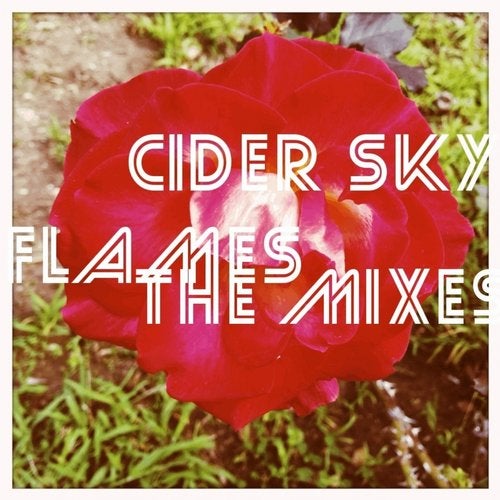 Flames (The Mixes)