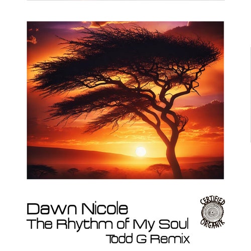 The Rhythm Of My Soul