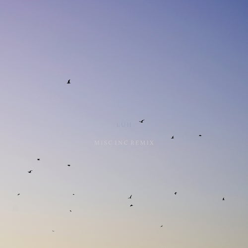 Luh (Misc.Inc Remix)