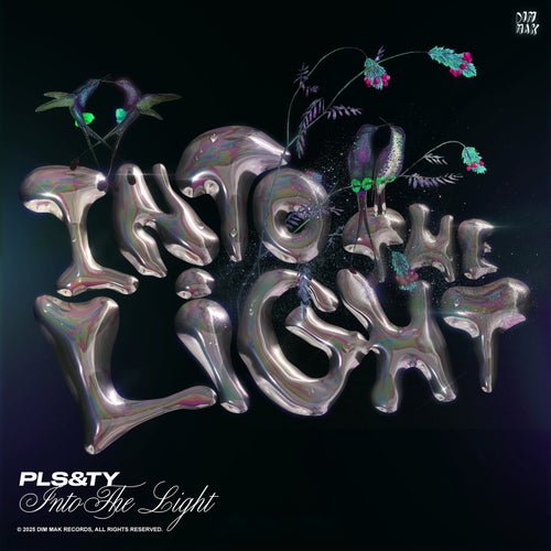 Into The Light - Extended Mixes
