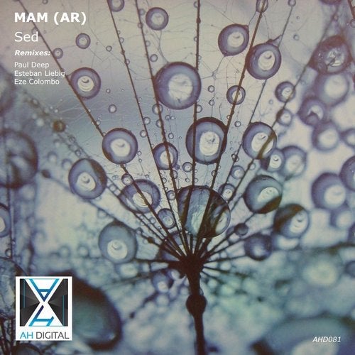 Cover art for Sed