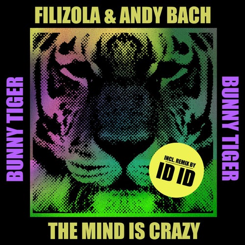 Filizola Andy Bach - The Mind Is Crazy (ID ID Remix).mp3