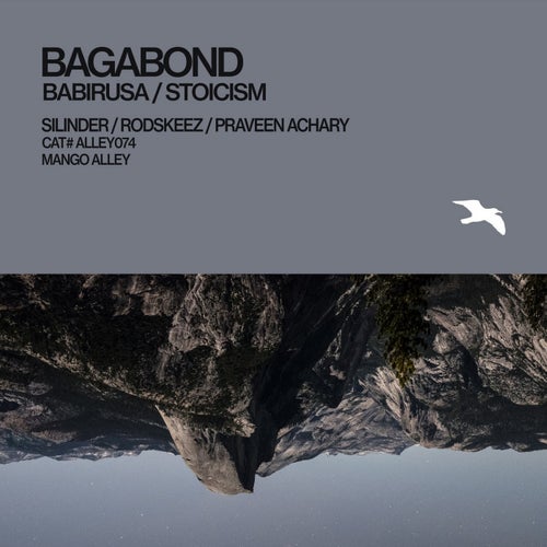 Babirusa / Stoicism