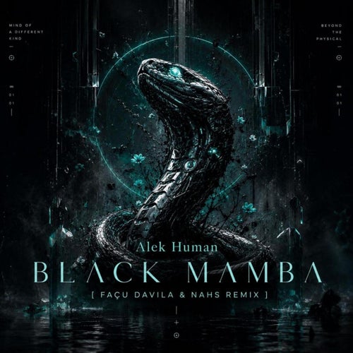 Black Mamba (FACU DAVILA DJ & NAHS Remix Radio Edit)