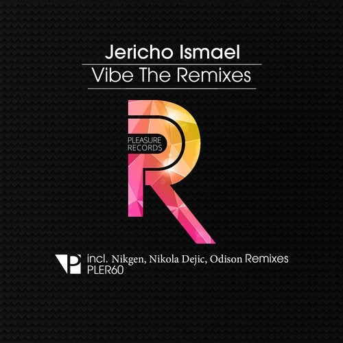 Cover art for Vibe - The Remixes