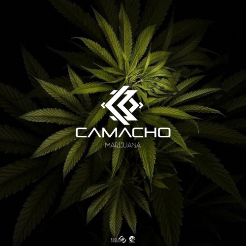Marijuana