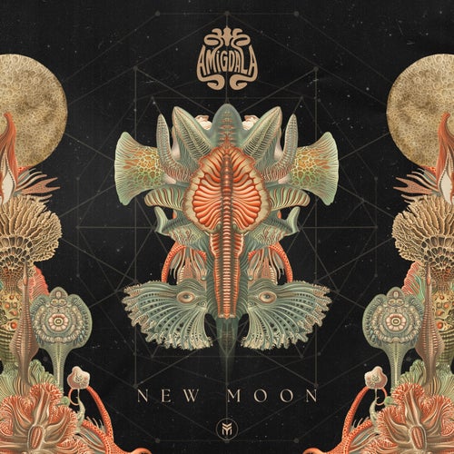  Amigdala - New Moon (2024) MP3 069cd2bf-56fa-48d1-a2e9-36e44cd8292d