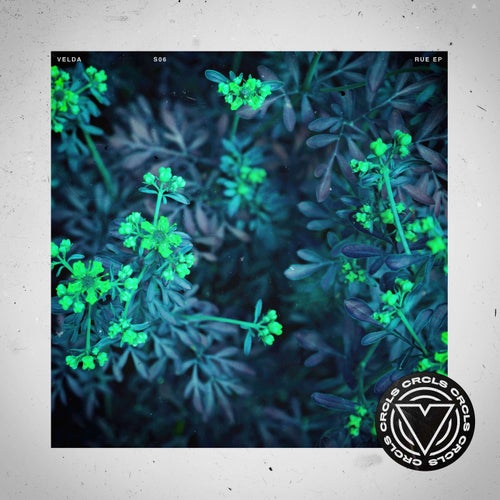 Rue EP
