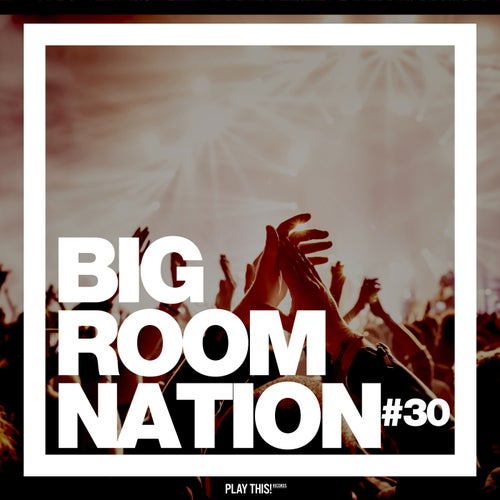 Big Room Nation Vol. 30