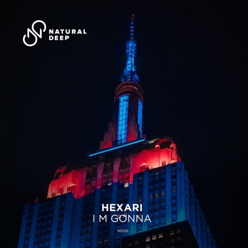 I M Gonna (Extended Mix)