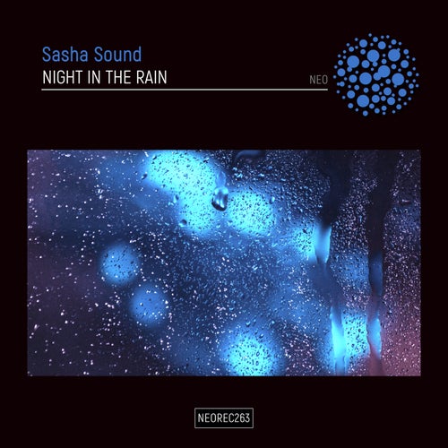  Sasha Sound - Night In The Rain (2023) 