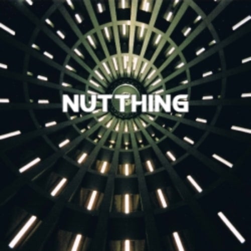 NutThing