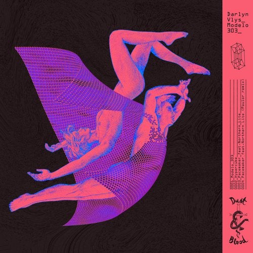Cover art for Modelo 303
