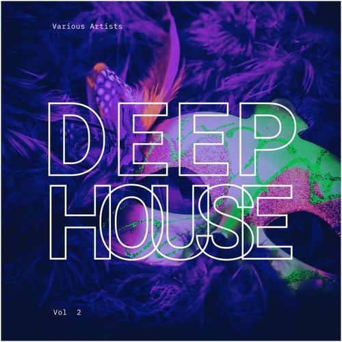 Cover art for Deep-House Carnival, Vol. 2