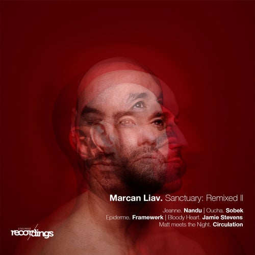 Cover art for Sanctuary: Remixed II