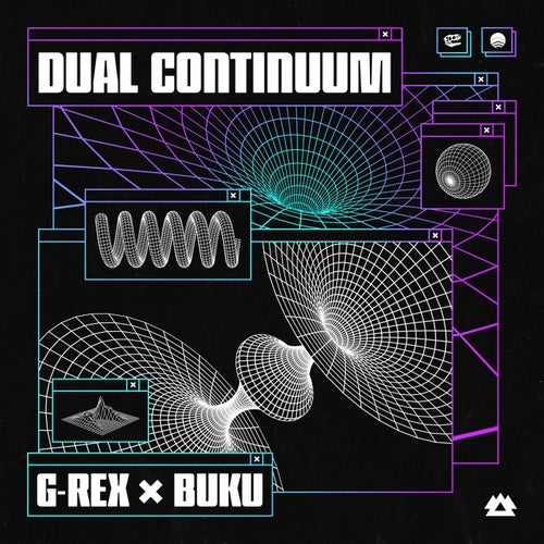 Dual Continuum