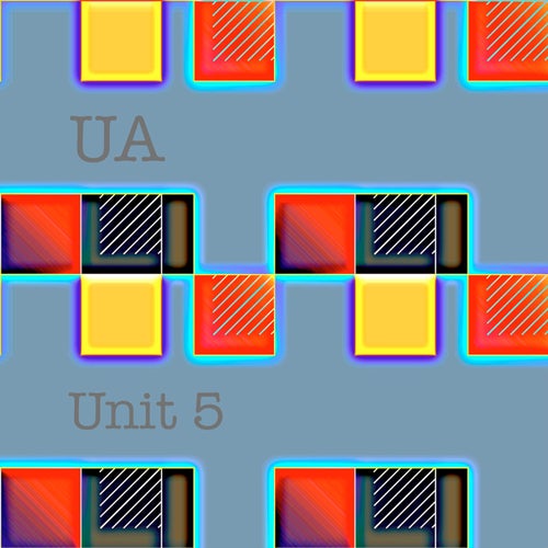 Unit 5
